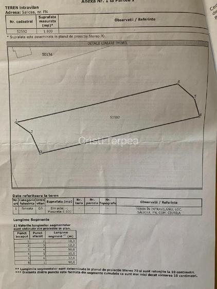 Teren intravilan 1800mp Salicea, 75e/mp - 3
