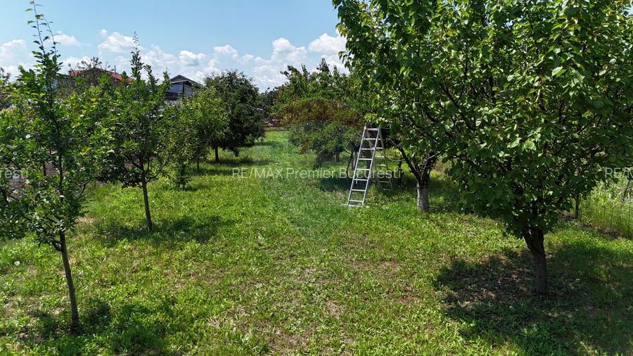 Casă batraneasca cu 3 camere-Oportunitate de Investiție in Domnesti - 8