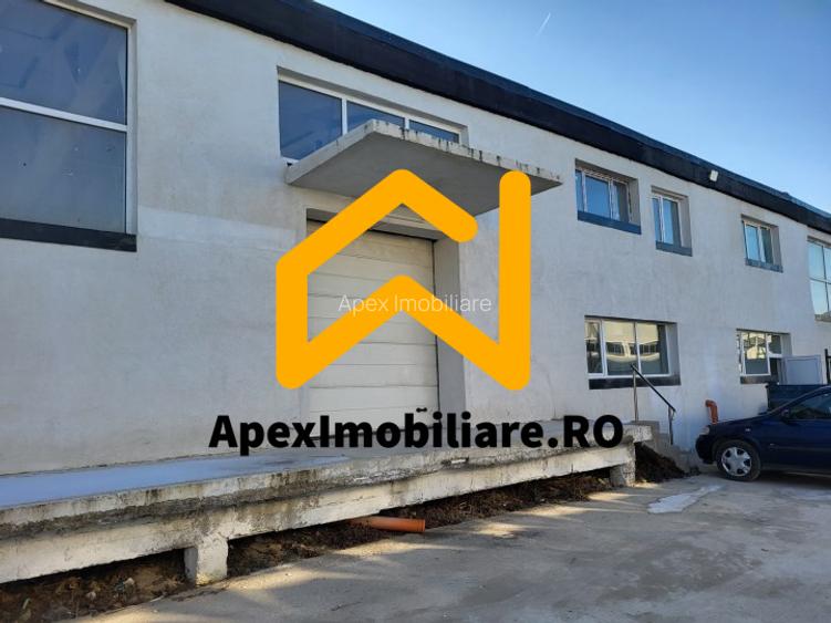 Hala Industriala Xenia – 1800 mp, Acces TIR, Parcare 50 Auto - 12