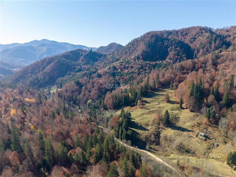 Teren de Vis langa Siriu  – 20000 mp ideal pentru Complex turistic Comision 0% - 5