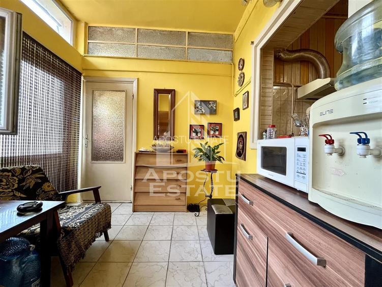 Casa individuala cu 6 camere situata in zona Elisabetin - 7