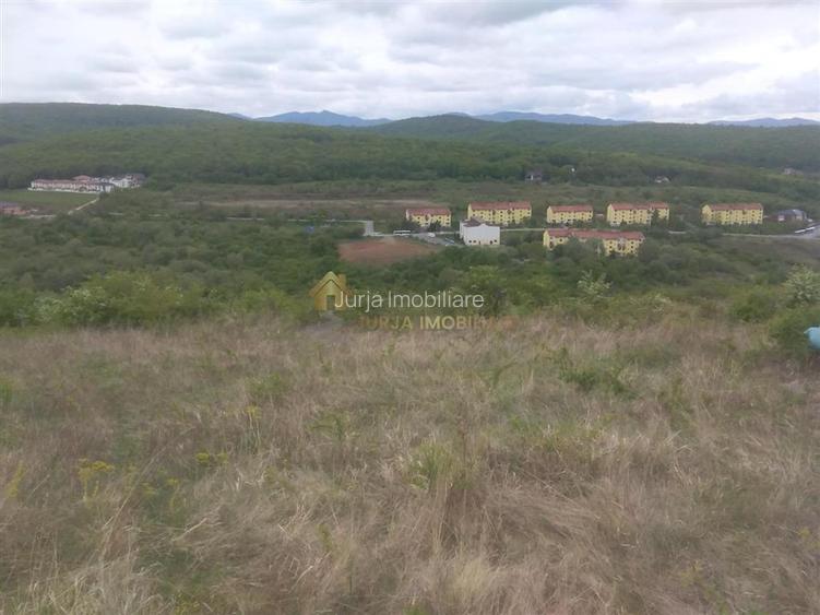 teren extravilan 3640 mp Strada Stejarului - 7