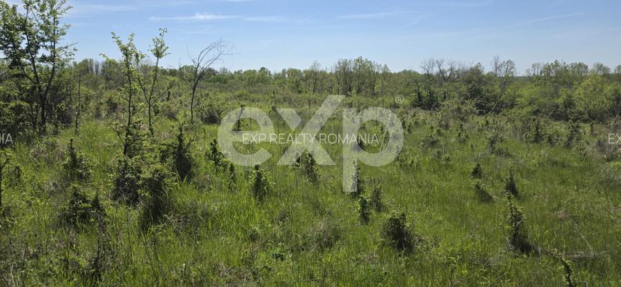 Teren 3015 mp Moșoaia | Zonă liniștită lângă pădure | Ideal casă | 16,9 €/mp - 3