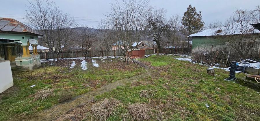 VÂNZARE MOȘIE – Sat Mitrofani, Comuna Mitrofani, jud. Vâlcea - 14