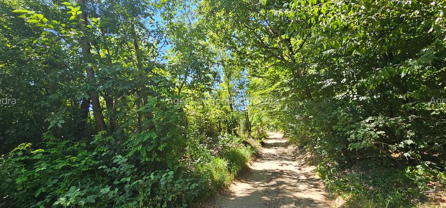 Vand de constructii situat la sosea in Tropinii Noi, cu PUZ, - 5