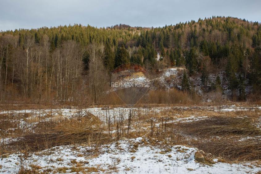 De vanzare | Teren Intravilan | Sat Sabasa, Comuna Borca, Neamt | - 3