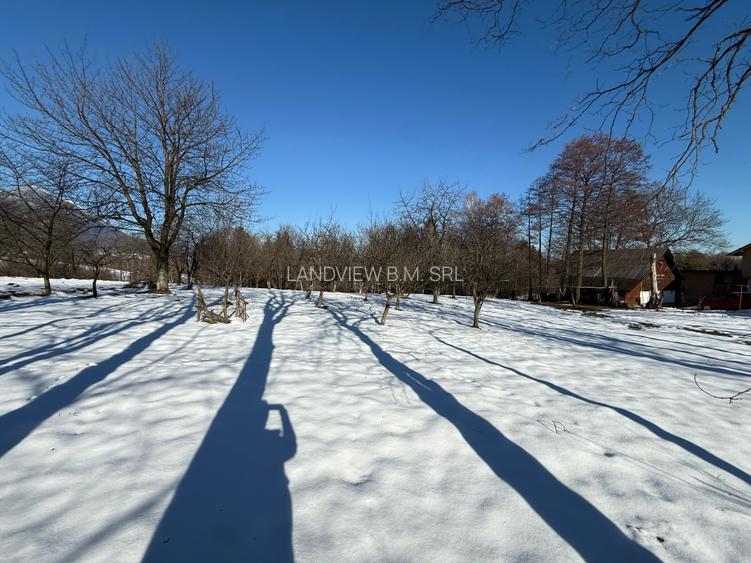 Teren intravilan 763 mp in zona Bran-Tohanita,judetul Brasov - 2