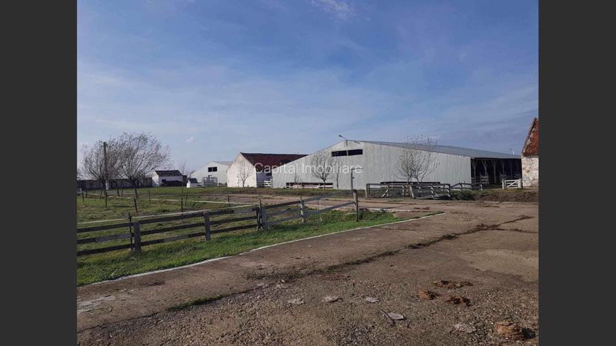 Ferma langa Oravita 5600 mp construiti si teren 24281 intravilan - 4