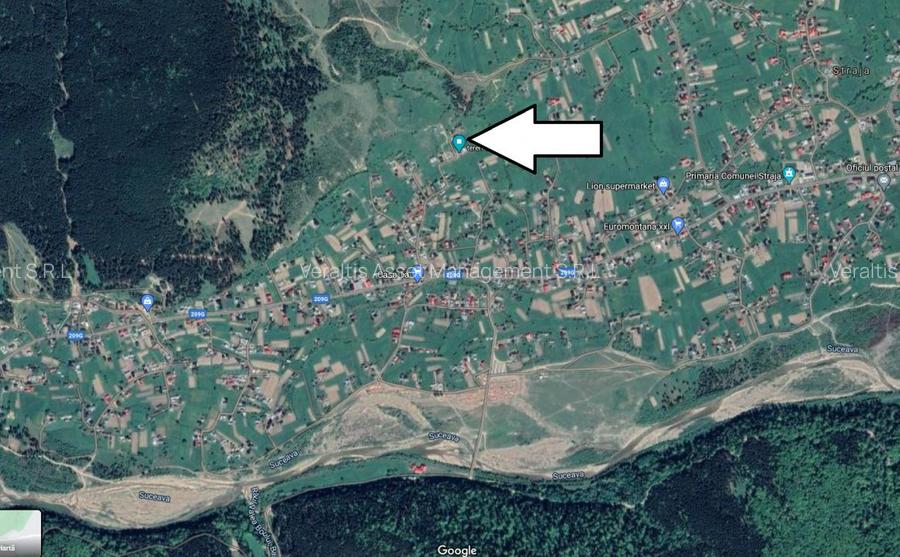 Teren intravilan 1.000 mp + hala debitare si hala prelucrare lemn - 3