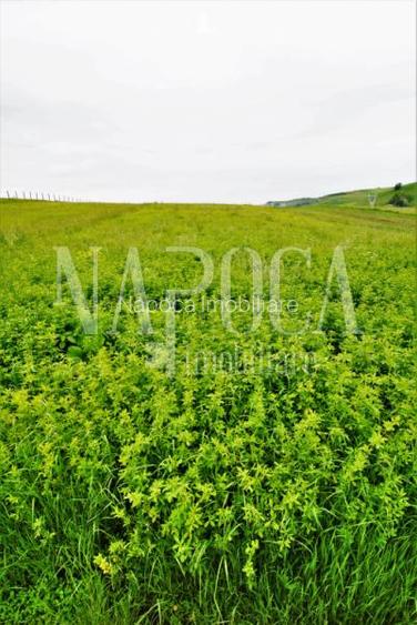 Teren extravilan pentru constructii de vanzare in Popesti - 2