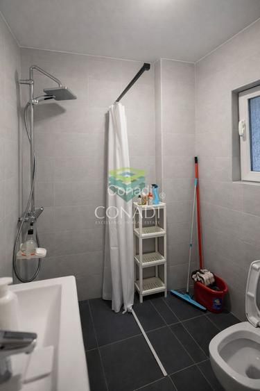 Casa la curte zona Timpuri Noi Vitan - 22