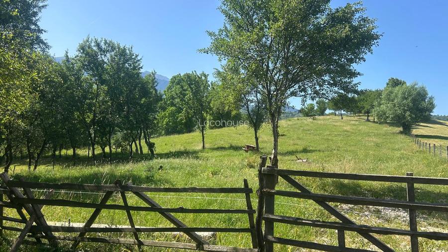 Teren Sohodol cu vedere catre M-tii Bucegi - 6