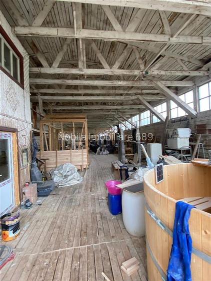 HALE-DEPOZIT DE VANZRE SI TEREN 10000 mp  AGAS jud.Bacau - 11