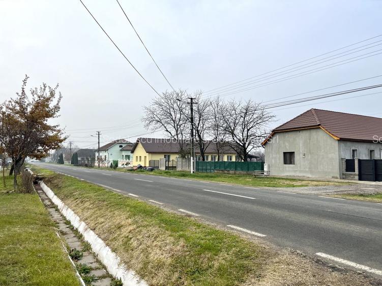 TEREN INTRAVILAN DINIAS - 3