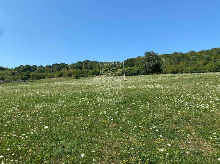 Teren 11.000 mp-ideal cabana/ferma-Unirea-Valea Slatinitei - 6