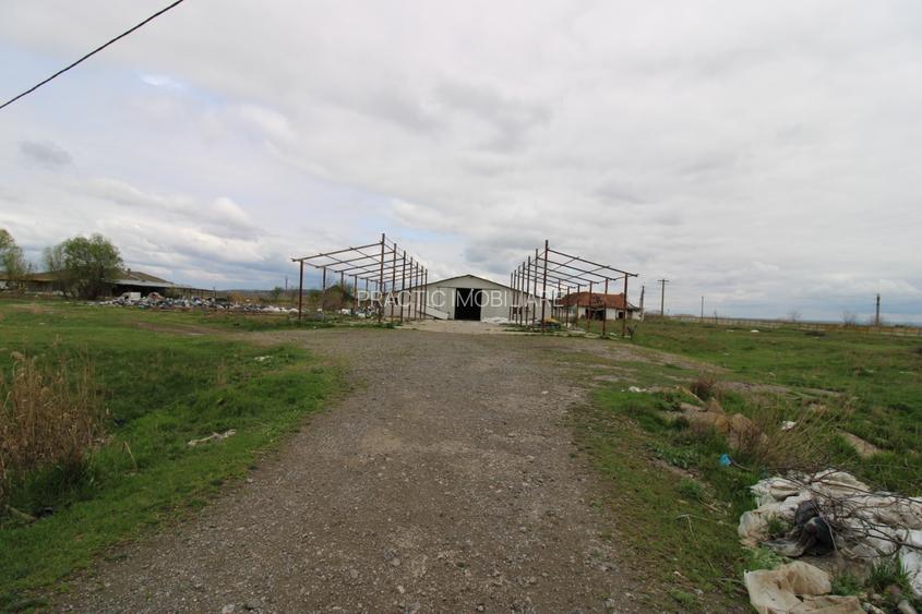 Hala in Foltesti - 2