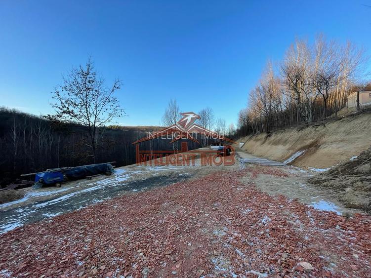 Teren intravilan Cisnadioara Judet Sibiu - 9