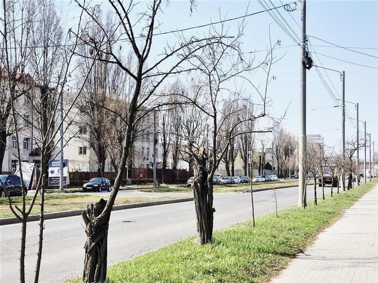 Hala industriala moderna cu rampa si acces TIR - 2