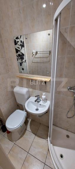 Garsoniera de vanzare in Gruia -ideala pentru investitie - 6