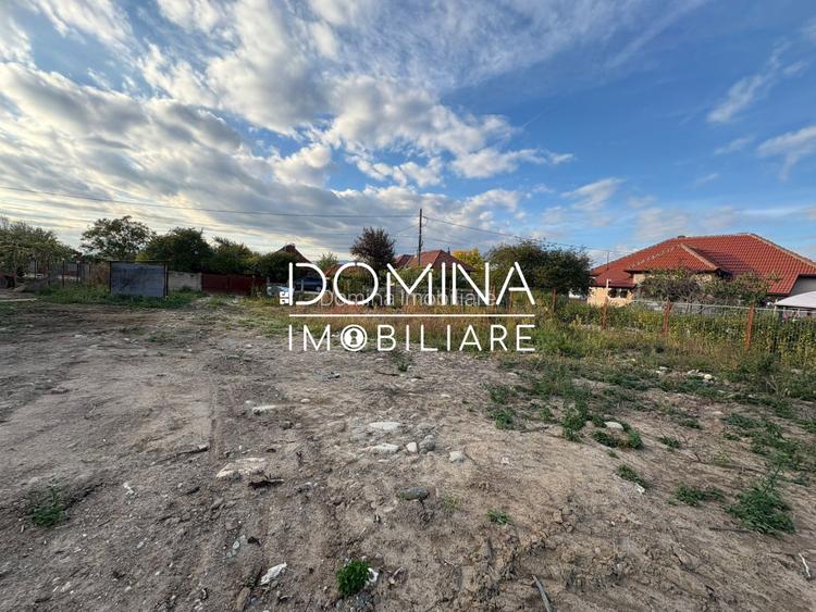 Vanzare teren 4449 mp cu utilitati, Curtisoara - la 13 km de Targu Jiu - 3