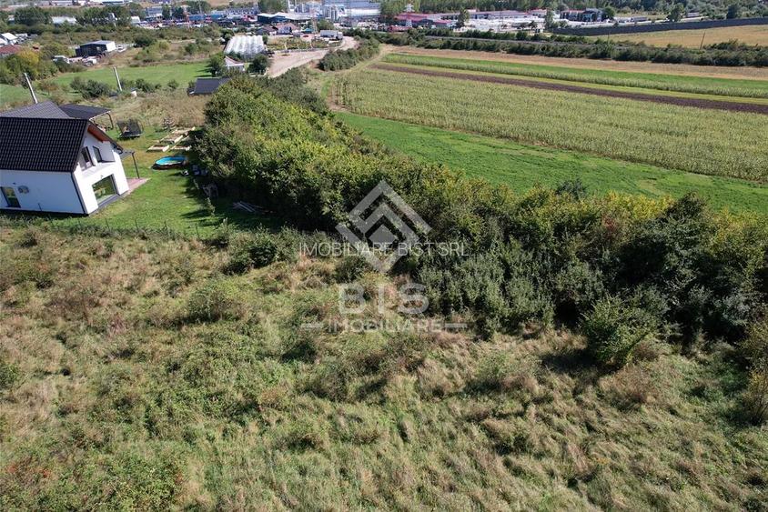 Teren Intravilan - Viisoara - 7