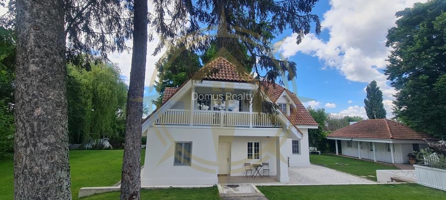 DOM00445 - Vila de poveste la lac cu ponton in Snagov - 6