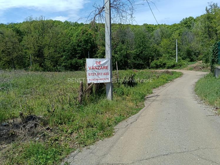 intravilan Tiparesti, relaxare aproape de padure - 7
