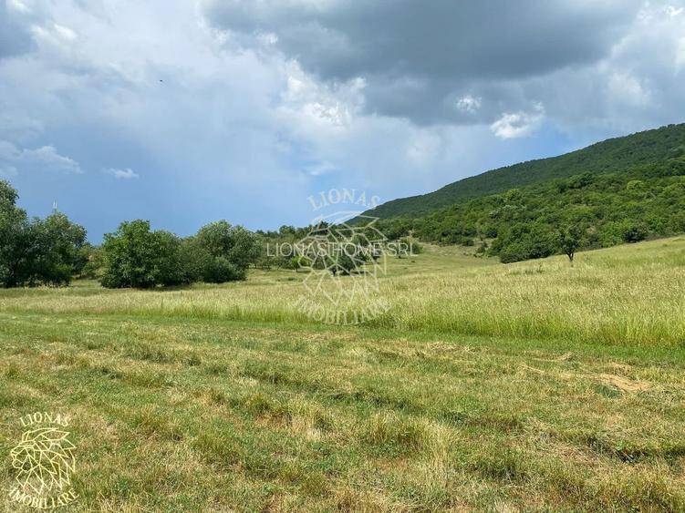 Teren 7200 mp-parcelabil-investitie-Sieu Magherus la 16 km de Bistrita - 8