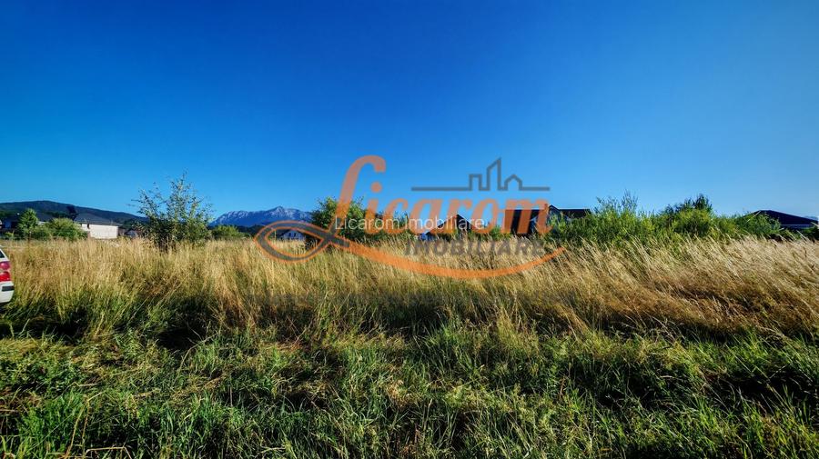 Teren intravilan 1000 mp pt construcții case Cristian str Nisipului - 3