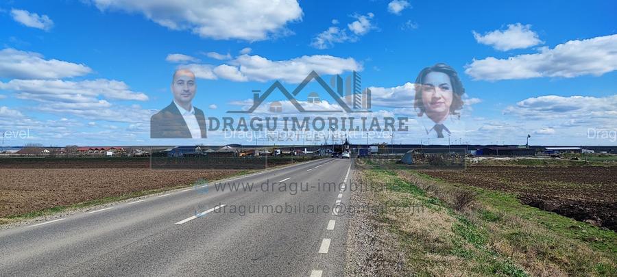 Teren extravilan 13.500 mp/ Valea Marului - 3