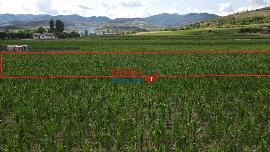 Teren de vanzare Ighiu 1500mp