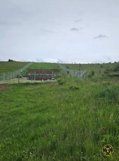 Vand 9 ari teren intravilan, Sancraiu de Mures, aproape de padure