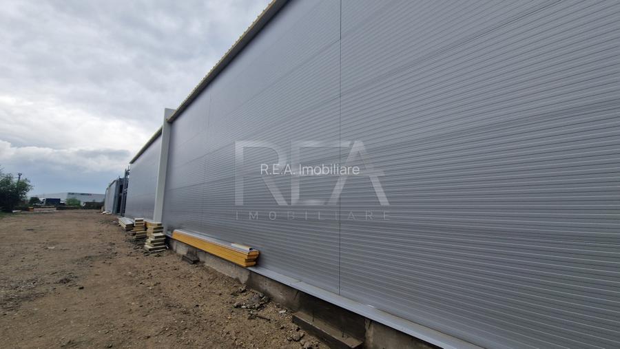 Hale depozitare/productie deschidere la Centura\Chitila - 7