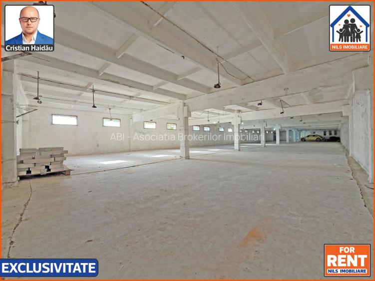 Hale de inchiriat in 1 Decembrie Ilfov | NILS Imobiliare - 4