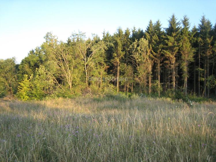 INVESTITIE! Teren intravilan 5700mp - Chinteni, jud Cluj! - 3