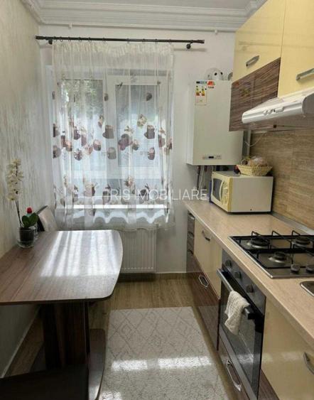 Apartament  1 camera, Valea Lupului - 2