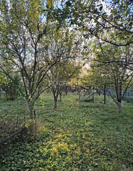 De vânzare casă cu teren 770 mp, în Dâmbul Rotund - 2