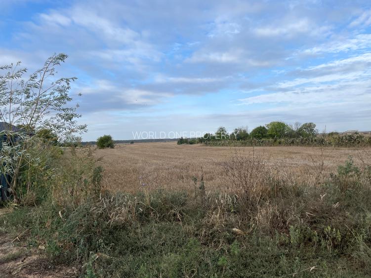 Teren extravilan/Utilitati - 4