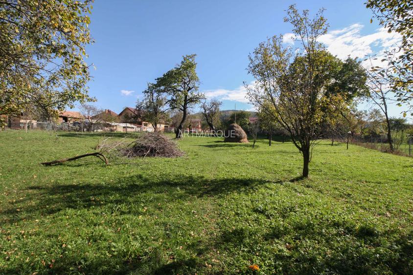 Teren intravilan cartier Poiana, fara inclinatie - 6