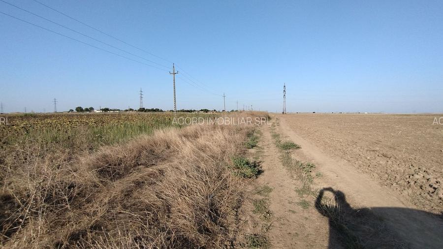 Teren pentru Parc Logistic, hale - Ovidiu - 2