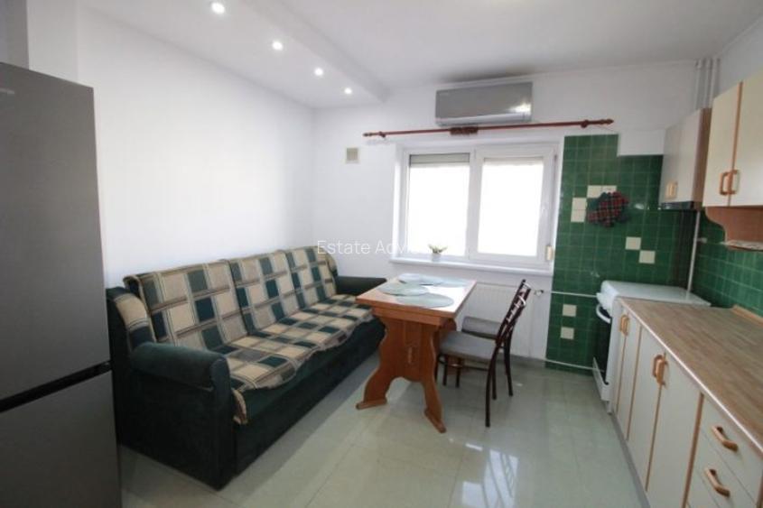 Inchiriere apartament 2 camere|Timpuri Noi|Anastasie Panu - 11