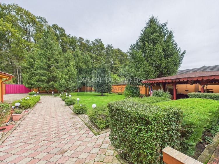 VILĂ CONTEMPORANĂ ÎN SNAGOV – 575 mp utili, teren 1.417 mp - 5