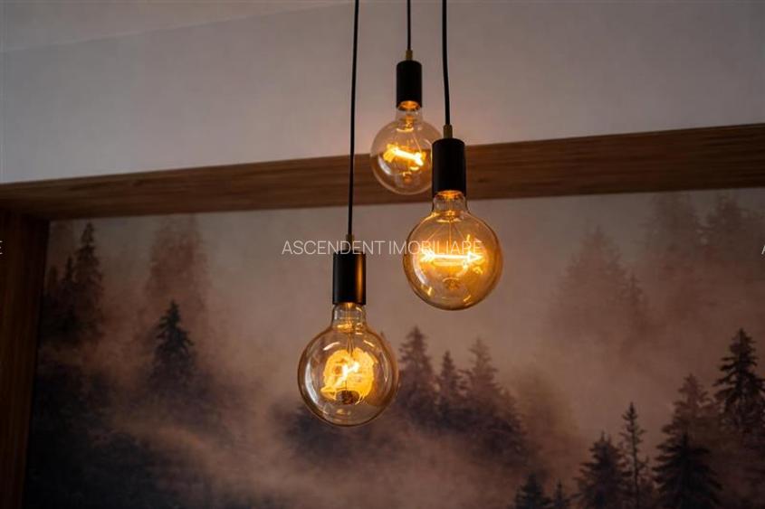 Rezidenta mobilata,utilata,tip studio,terasa, boxa,loc parcare,Tractorul,Brasov - 9