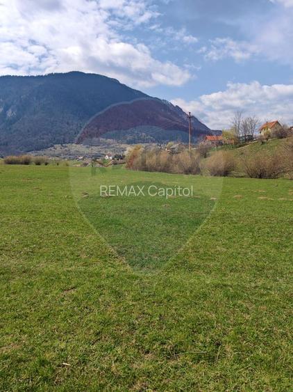 Teren 1,404mp Zarnesti / Strada FN - 6