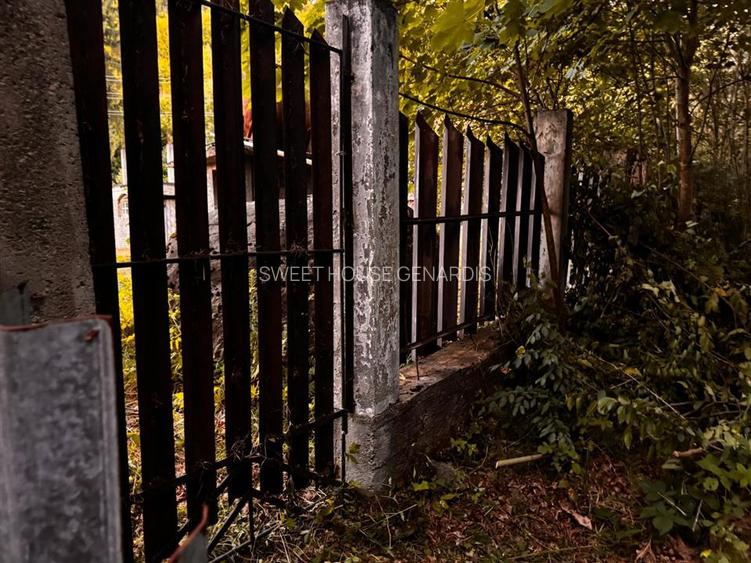 Oportunitate de investitie Cabana Cartisoara Zona Turistica - 4