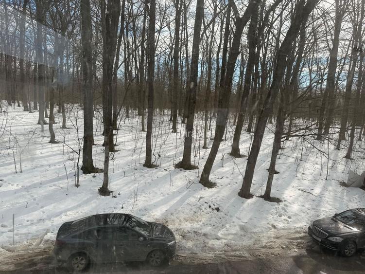 Vilă de Lux cu Piscină Privată și Deschidere Directă la Lacul Snagov - 24