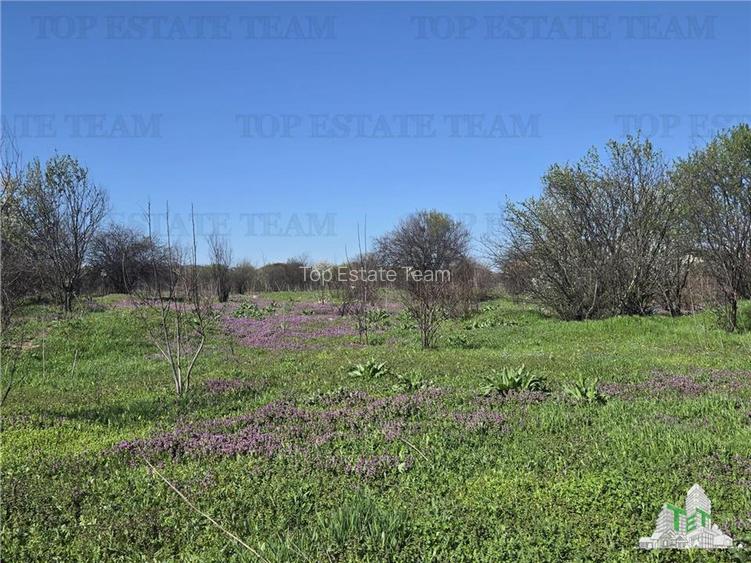 TEREN Intravilan 8.500 mp PACII - 11