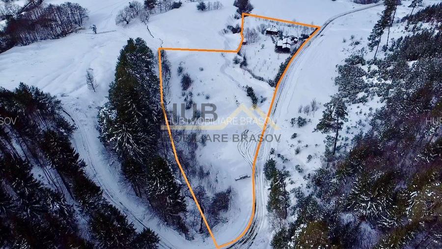 Teren cu PUZ - Tabara de Vacanta + Constructie Tiny Hous |  10 Cabane A-Frame - 5