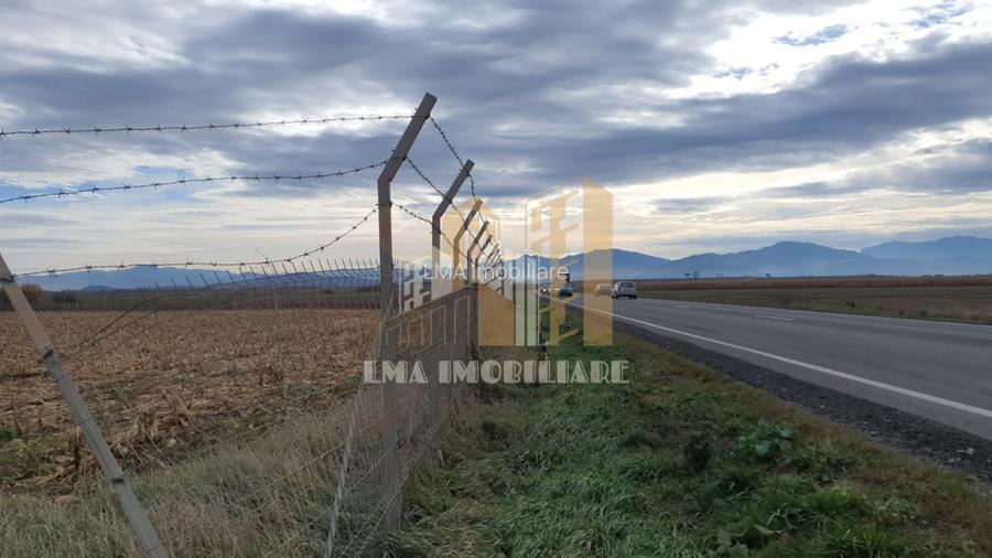 Teren intravilan industrial DN 13 Calea Feldioarei Brasov - 3