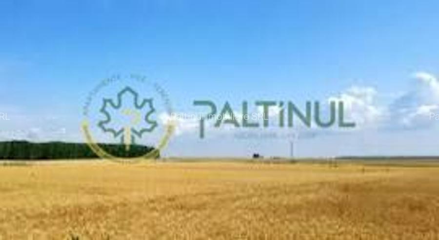 Teren de vânzare – Poplaca, Sibiu - 4